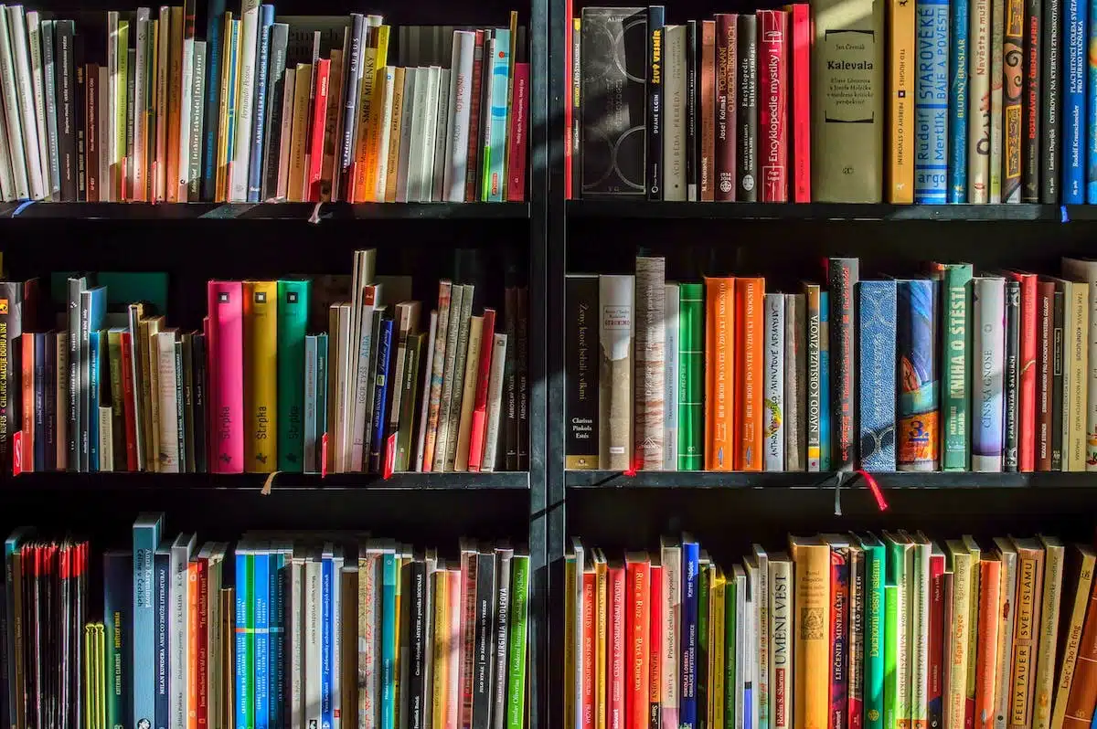 livres enfants