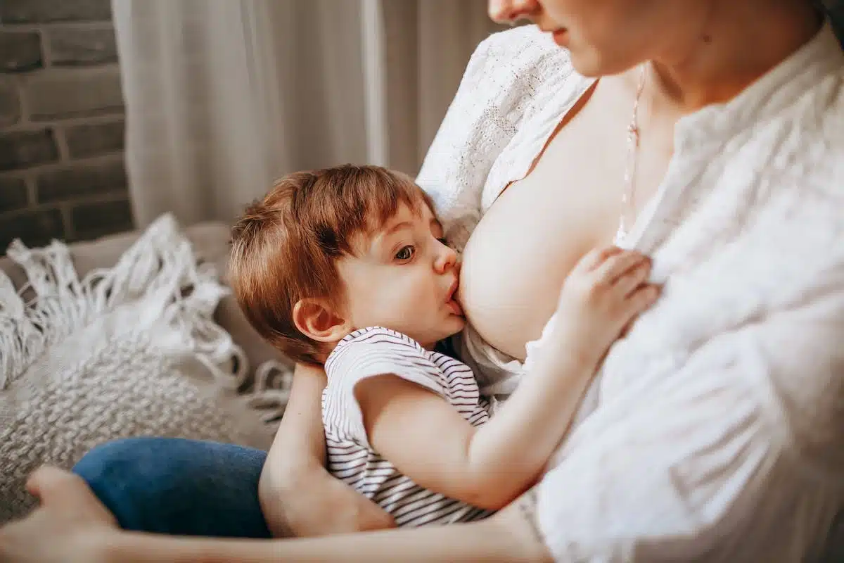 bébé  alimentation